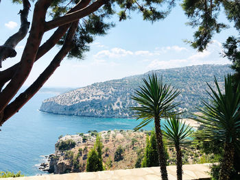 Scenic view of sea and palm trees against sky