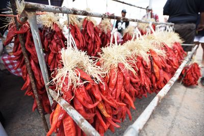 Close-up of red chili peppers for sale at market