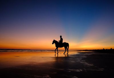 Silhouette man riding horse at beach against clear sky during sunset