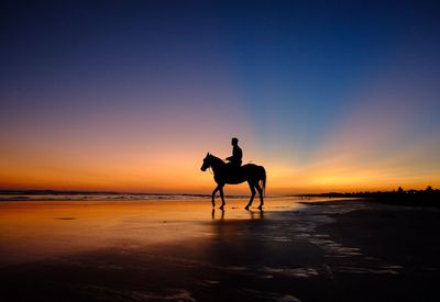 Silhouette man riding horse on beach against clear sky