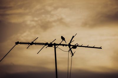 Low angle view of silhouette birds perching on power line