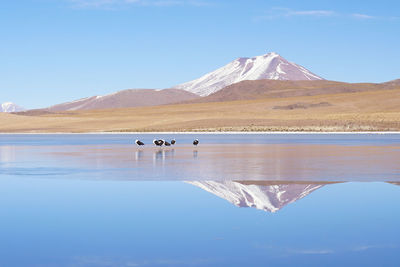 Scenic view of lake by mountains against clear blue sky