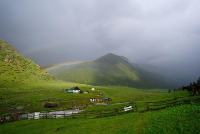 Scenic view of field against sky