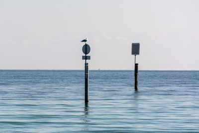 Seagull on beacon at lake with blue water