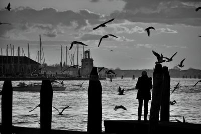 Silhouette birds flying over sea against sky