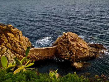 High angle view of rocks on beach