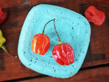 High angle view of scotch bonnet chilli in plate