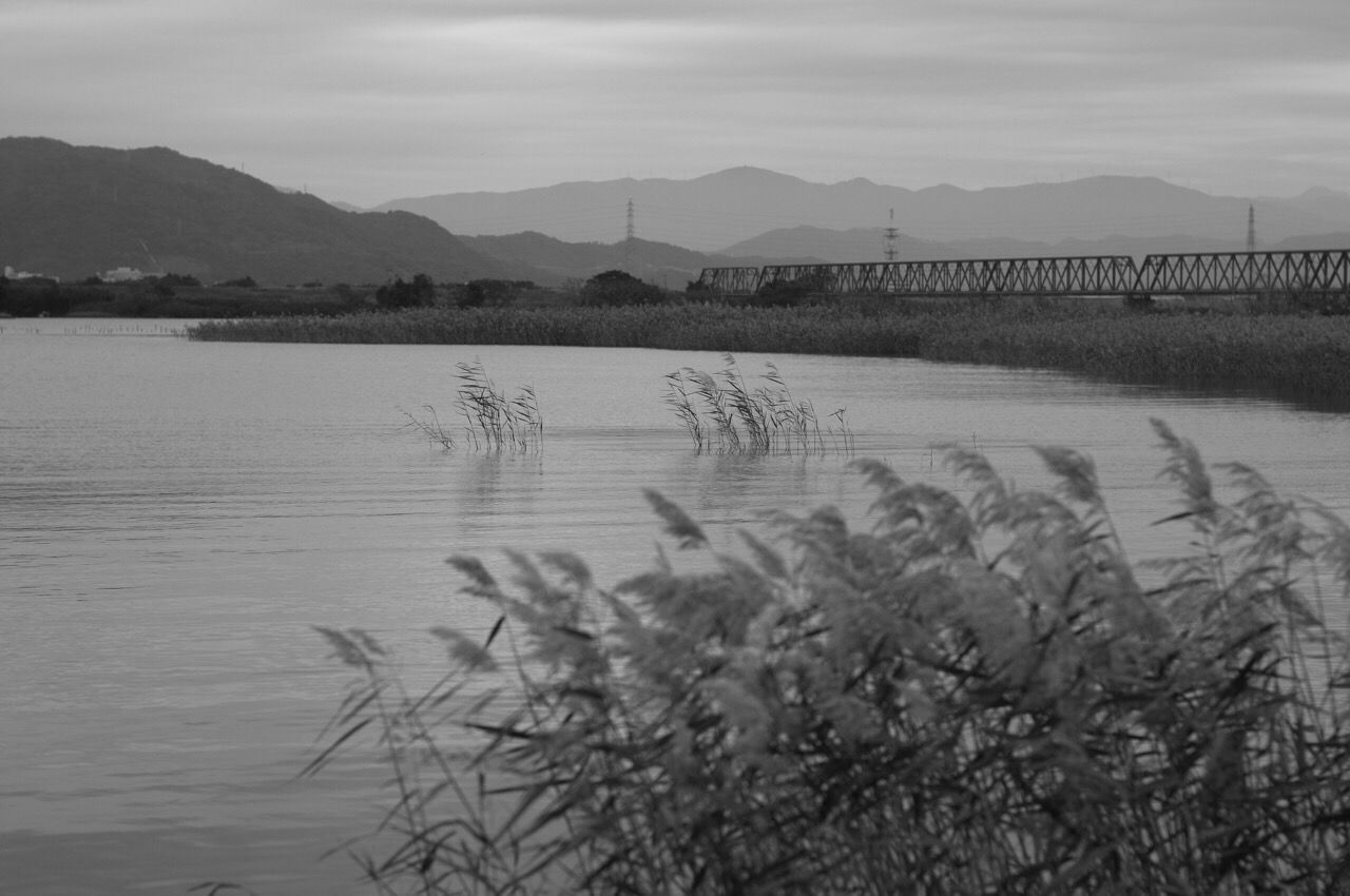 mountain, water, lake, bird, tranquil scene, mountain range, tranquility, scenics, animal themes, sky, beauty in nature, nature, animals in the wild, wildlife, idyllic, non-urban scene, waterfront, lakeshore, reflection, river