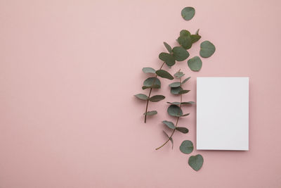 Directly above shot of heart shapes on pink background