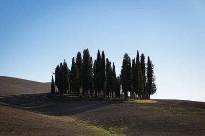 Trees on field against clear sky