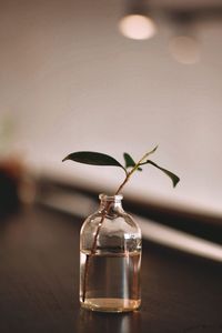 Close-up of glass vase on table