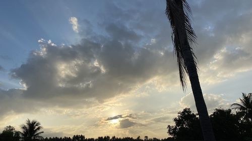 Low angle view of silhouette trees against sky