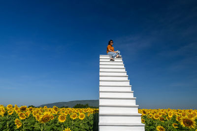 Cute tourist sitting on the white high stairs with beautiful sunflower field, lop buri province 