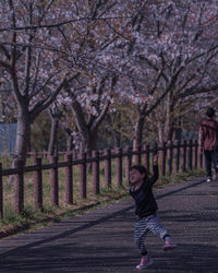 Portrait of smiling girl with cherry blossom on tree