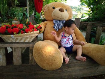 Boy and son on tree