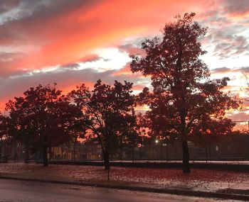 Silhouette trees on field against sky during sunset