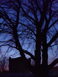 Low angle view of silhouette bare tree against sky