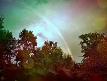 Scenic view of trees against sky during sunset