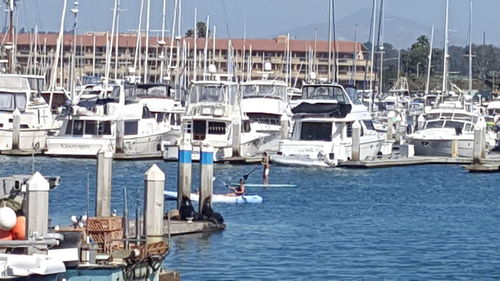 Boats moored in harbor