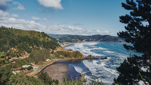 High angle view of shore line amidst trees against sky