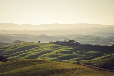 Scenic view of agricultural field against sky