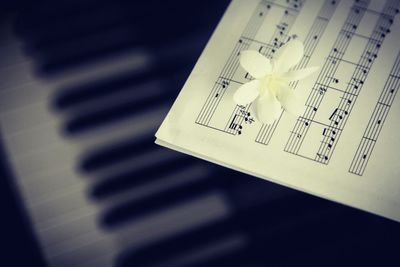 Close-up of piano keys