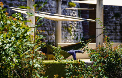 Low section of woman using mobile phone