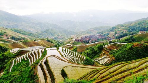 Scenic view of agricultural field and mountains