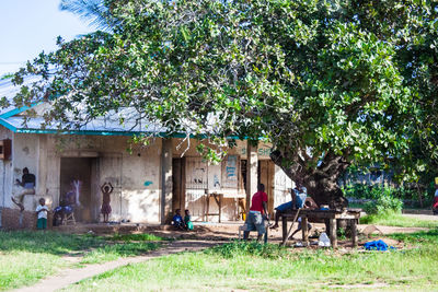 People in front of tree