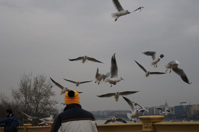 Flock of birds flying against sky