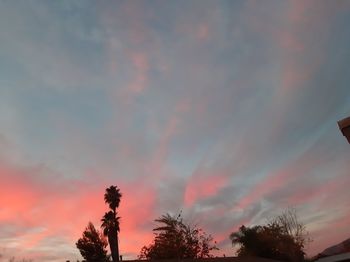 Low angle view of silhouette trees against dramatic sky