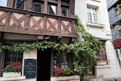 Low angle view of potted plants on building