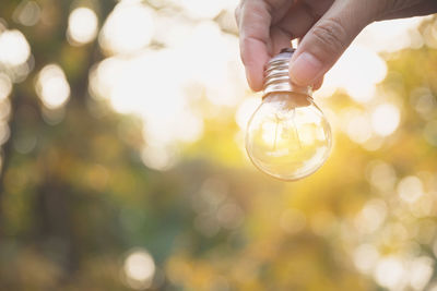 Close-up of person holding light bulb against trees