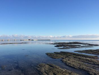 Scenic view of beach against clear blue sky