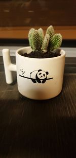 Close-up of potted plant on table