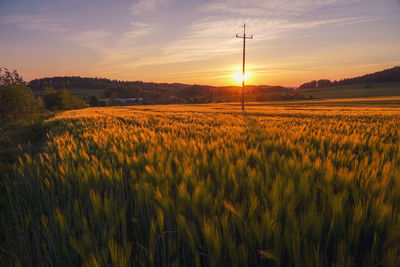 Scenic view of field against sky during sunset