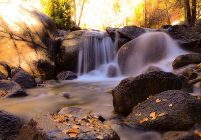 Scenic view of waterfall in forest