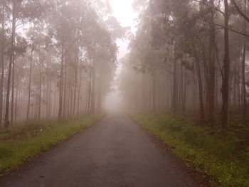 Road amidst trees in forest