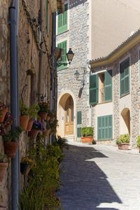 Narrow alley amidst buildings in town