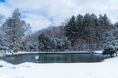 Snow covered trees by lake against sky