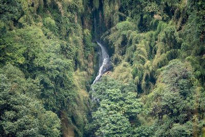 High angle view of waterfall amidst trees in forest