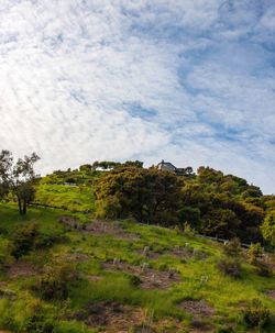 Scenic view of farm against sky