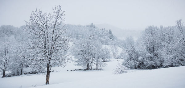 Winter landscape in the alps in france under a snowstorm