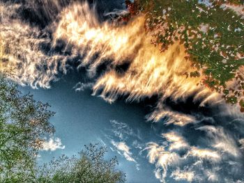 Low angle view of tree against cloudy sky