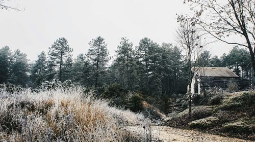 Built structure with trees in background