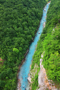 High angle view of river amidst green landscape