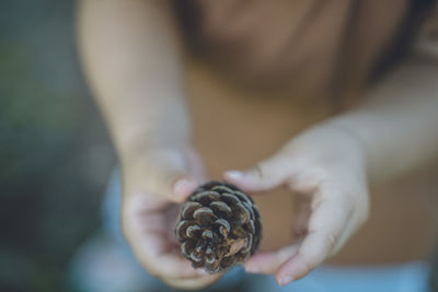 Midsection of child holding pine cone