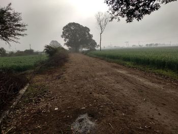 Dirt road amidst field against sky