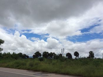 Road by trees against sky