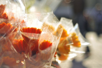 Close-up of flowers for sale at shop